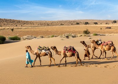 Exploring Jaisalmer | Camps, Camel Safari & More| Rajasthan