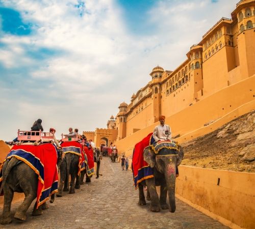 Rajasthan  Fort and Palaces Tour